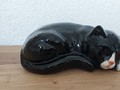 Chat noir avec pattes et nez blanc
