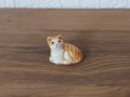 Miniature chat tigré roux et blanc