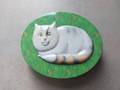 Boîte ovale verte avec chat