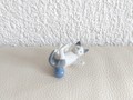 Petit chat miniature avec balle bleu