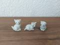 Miniature 3 petits chats blanc
