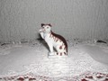 Petit chat blanc-brun Franklin Mint 4