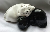 Chats noir et blanc poivre et sel