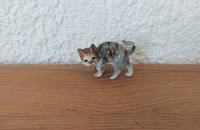 Miniature chat tigré gris-brun 