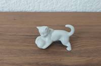 Miniature Chat blanc avec balle