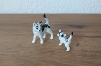 Miniature chat et chaton blanc et noir