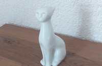 Chat blanc, moderne assis II