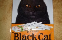 Plaque en métal "Black Cat"