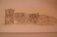 Carte "Chatons aux yeux fermés"