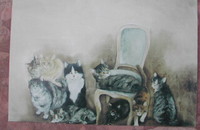 Carte postale d'art chats Dédé Moser Pourquoi vous ne me laissez pas tranquille?