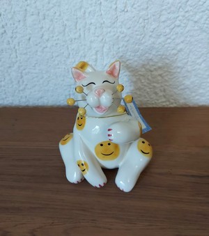 Aperçu du produit (touche ESC pour fermer)