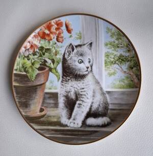 Aperçu du produit (touche ESC pour fermer)