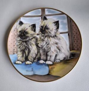 Aperçu du produit (touche ESC pour fermer)