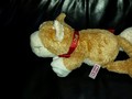 Chat en peluche NICI lV