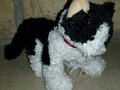 Chaton en peluche "noir & blanc" de Ganz