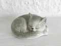 Petit chat vintage gris dormant 6