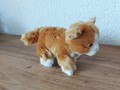 Peluche chat caramel 1