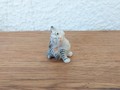 Miniature chat tigré gris qui gratte son oreille II