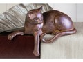 Chat marron pour bord d'étagère ou fenêtre