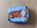 Petite boîte en fer avec chat tigré roux B