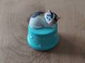 Petite boite turquois avec chat tricolore H