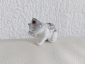 Petit chat vintage qui fait sa toilette 2