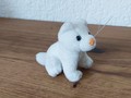 Petite peluche chat blanc