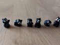 6 petits chats noir miniature