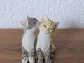 Couple de chatons assis IV 