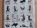 Plaque en métal chats Cat Yoga