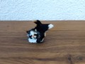 Petit chat noir et blanc en fourrure 