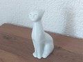 Chat blanc, moderne assis II