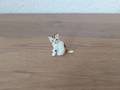 Miniature Petit chat tricolore I