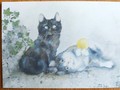Carte postale d'art chats Dédé Moser Un rotol de lana