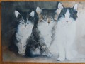 Carte postale d'art chats Dédé Moser Pim Pum Pam al Pien di Geisc