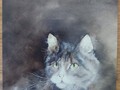 Carte postale d'art chat Dédé Moser Regard sur l'infini