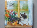 Serviettes Chats à la fenêtre