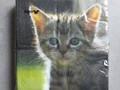 Serviettes chaton JIMMY