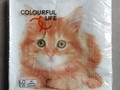 Seviettes chat roux
