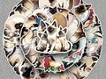 50 Autocollants chats siamois