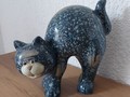 Chat bleu, dos rond