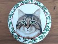Boîte ronde avec 2 chats différents