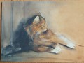 Carte postale d'art chats Dédé Moser chats CATS don't belong - They belong to places