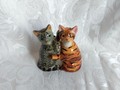 Chats Poivre et sel