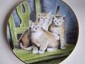Assiette de collection Kaiser chatons 3