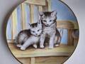 Assiette de collection Kaiser chatons 6