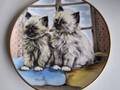 Assiette de collection Kaiser chatons