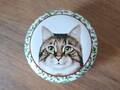 Hiver petite boîte ronde portrait chat
