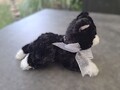 Petit chat en peluche noir et blanc Gund