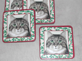 Noël sous-verres chat tigré